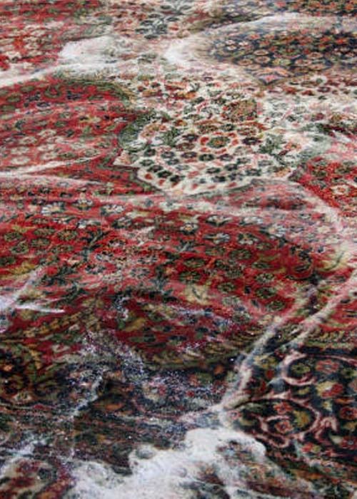 Professional Rug Cleaning Marketing